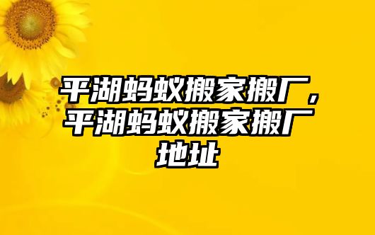 平湖螞蟻搬家搬廠,平湖螞蟻搬家搬廠地址