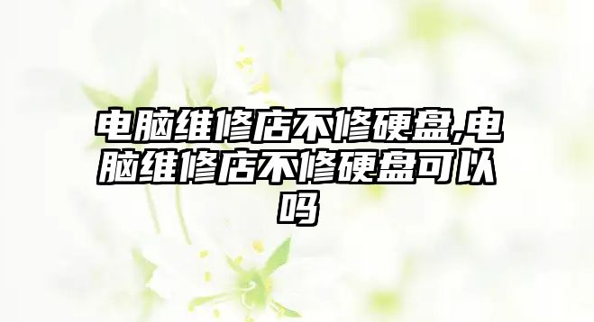 電腦維修店不修硬盤,電腦維修店不修硬盤可以嗎