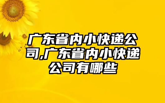 廣東省內小快遞公司,廣東省內小快遞公司有哪些