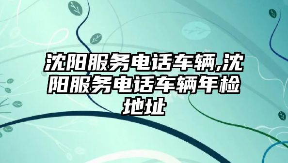 沈陽(yáng)服務(wù)電話車輛,沈陽(yáng)服務(wù)電話車輛年檢地址