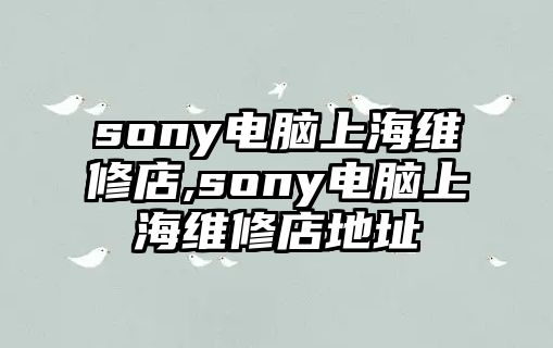 sony電腦上海維修店,sony電腦上海維修店地址