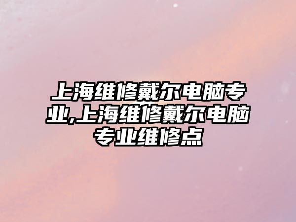 上海維修戴爾電腦專業,上海維修戴爾電腦專業維修點