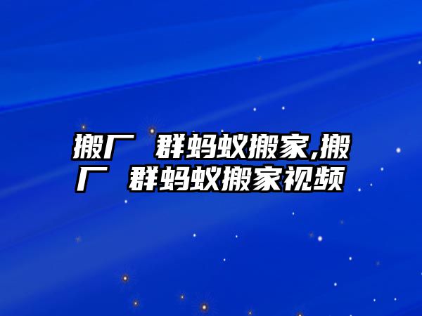 搬廠 群螞蟻搬家,搬廠 群螞蟻搬家視頻