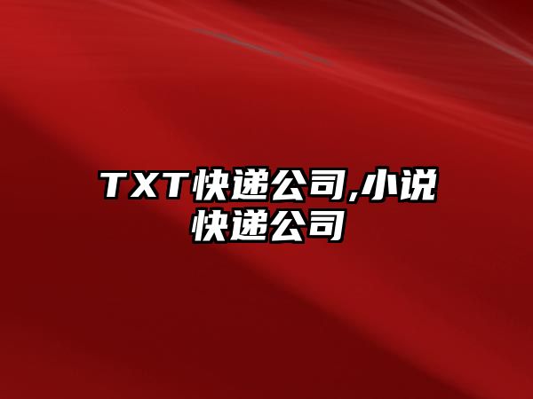 TXT快遞公司,小說快遞公司