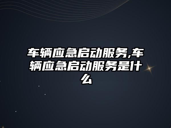 車輛應急啟動服務,車輛應急啟動服務是什么