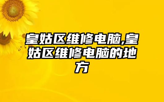 皇姑區(qū)維修電腦,皇姑區(qū)維修電腦的地方