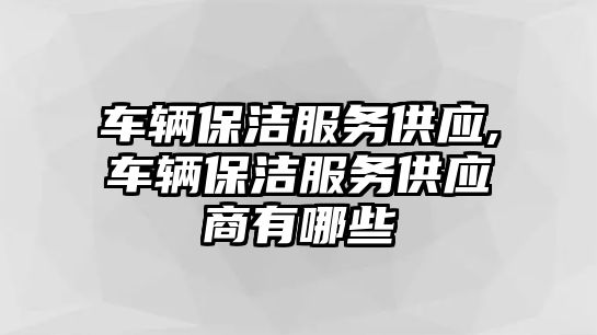 車輛保潔服務供應,車輛保潔服務供應商有哪些