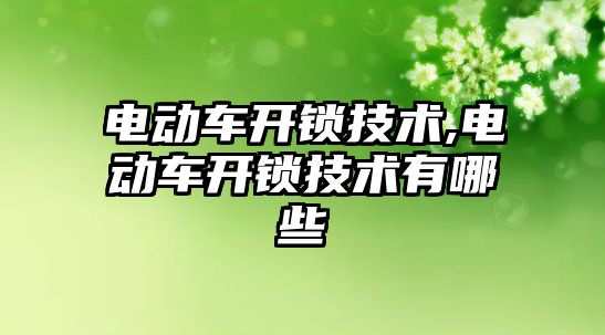 電動車開鎖技術,電動車開鎖技術有哪些