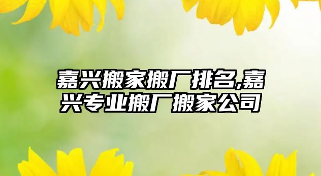 嘉興搬家搬廠排名,嘉興專業(yè)搬廠搬家公司