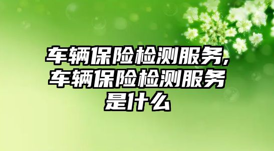 車輛保險檢測服務,車輛保險檢測服務是什么