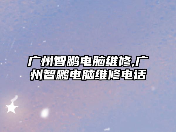 廣州智鵬電腦維修,廣州智鵬電腦維修電話