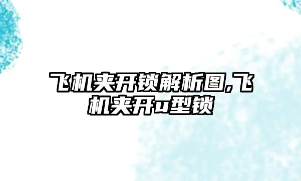 飛機夾開鎖解析圖,飛機夾開u型鎖