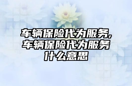 車輛保險代為服務,車輛保險代為服務什么意思