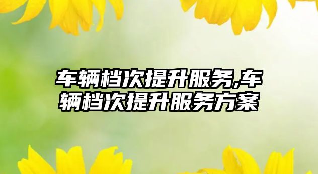 車輛檔次提升服務(wù),車輛檔次提升服務(wù)方案