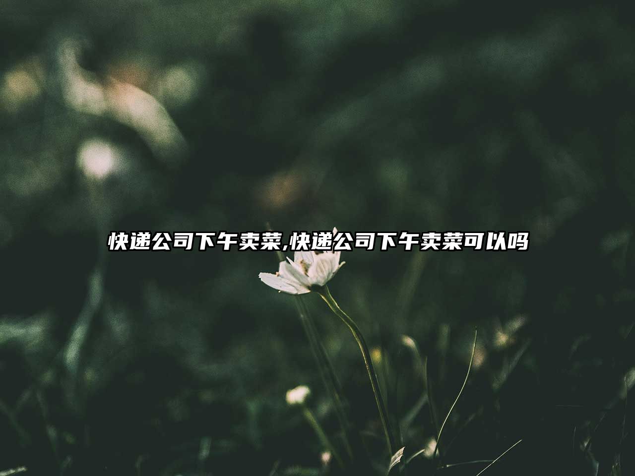 快遞公司下午賣菜,快遞公司下午賣菜可以嗎