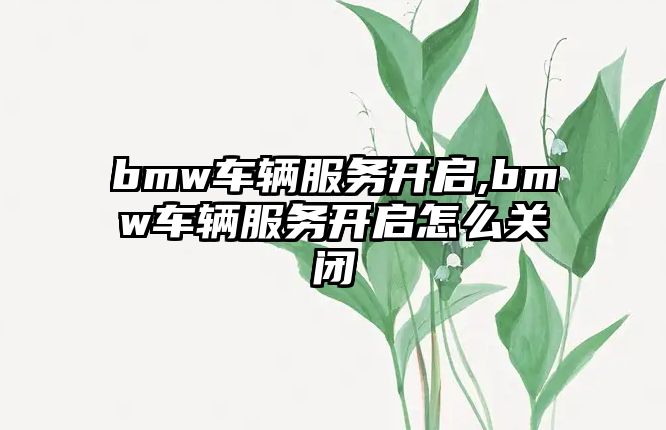 bmw車輛服務(wù)開啟,bmw車輛服務(wù)開啟怎么關(guān)閉