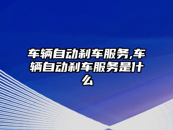 車輛自動剎車服務,車輛自動剎車服務是什么