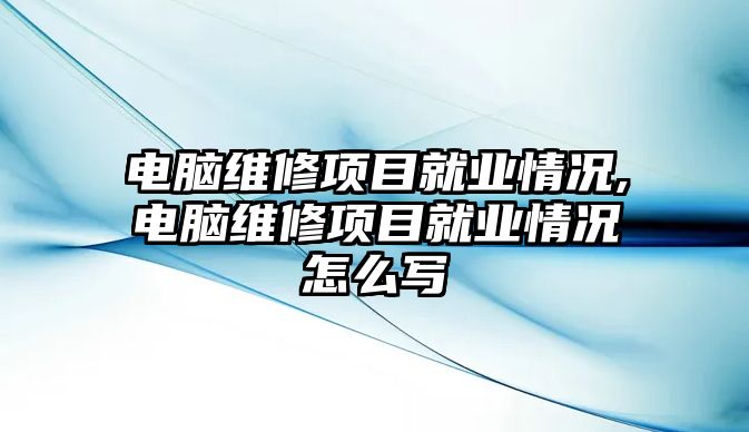 電腦維修項目就業情況,電腦維修項目就業情況怎么寫