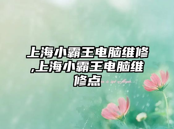 上海小霸王電腦維修,上海小霸王電腦維修點(diǎn)