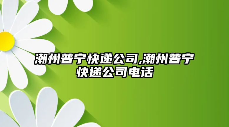 潮州普寧快遞公司,潮州普寧快遞公司電話