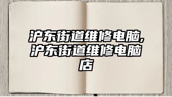 滬東街道維修電腦,滬東街道維修電腦店