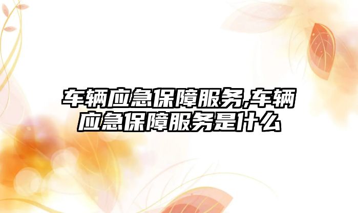 車輛應急保障服務,車輛應急保障服務是什么