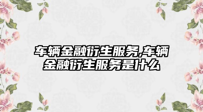 車輛金融衍生服務,車輛金融衍生服務是什么