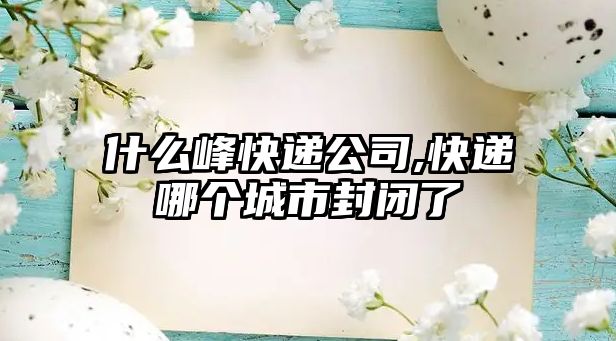 什么峰快遞公司,快遞哪個城市封閉了