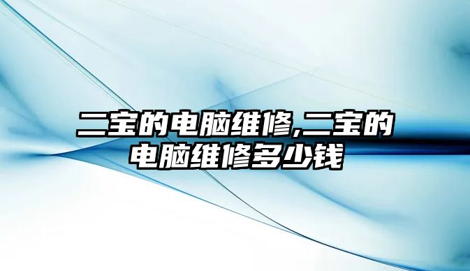 二寶的電腦維修,二寶的電腦維修多少錢