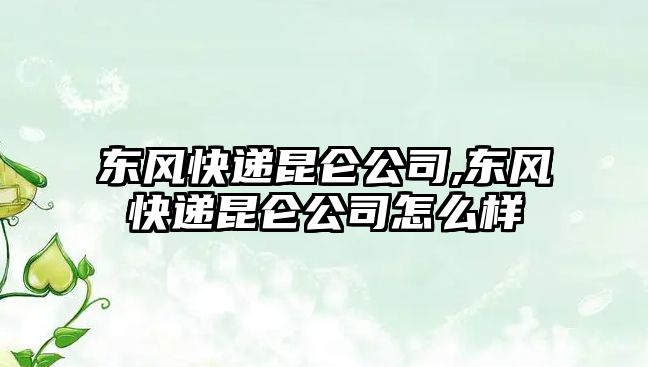 東風快遞昆侖公司,東風快遞昆侖公司怎么樣