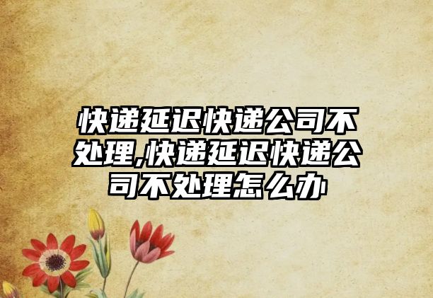 快遞延遲快遞公司不處理,快遞延遲快遞公司不處理怎么辦