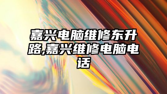 嘉興電腦維修東升路,嘉興維修電腦電話